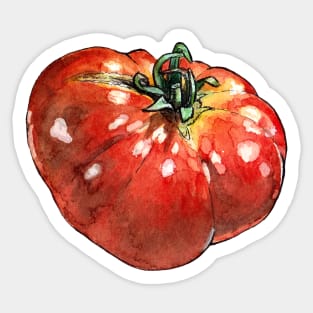 Watercolor tomato Sticker